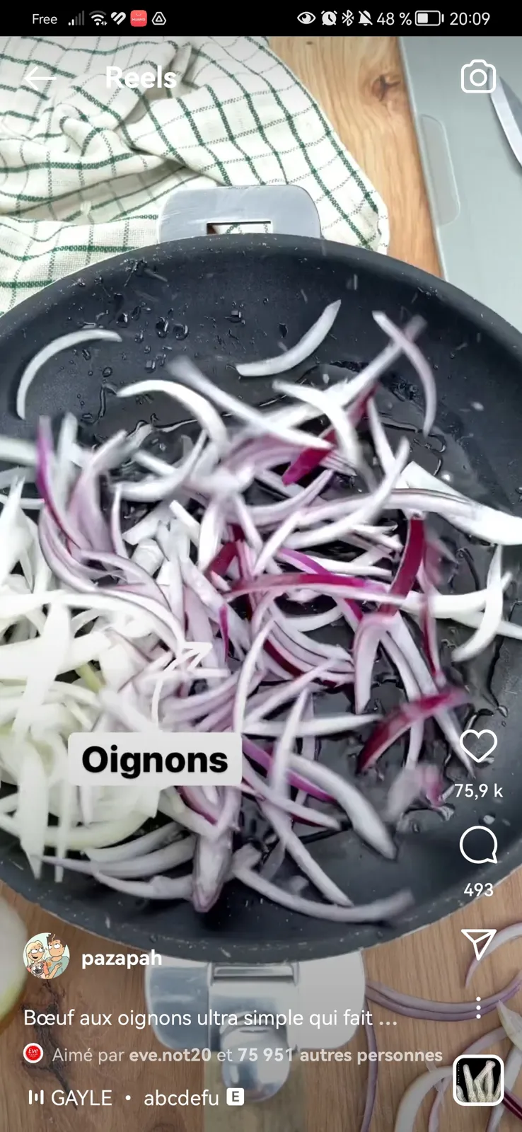 Bœuf aux oignons