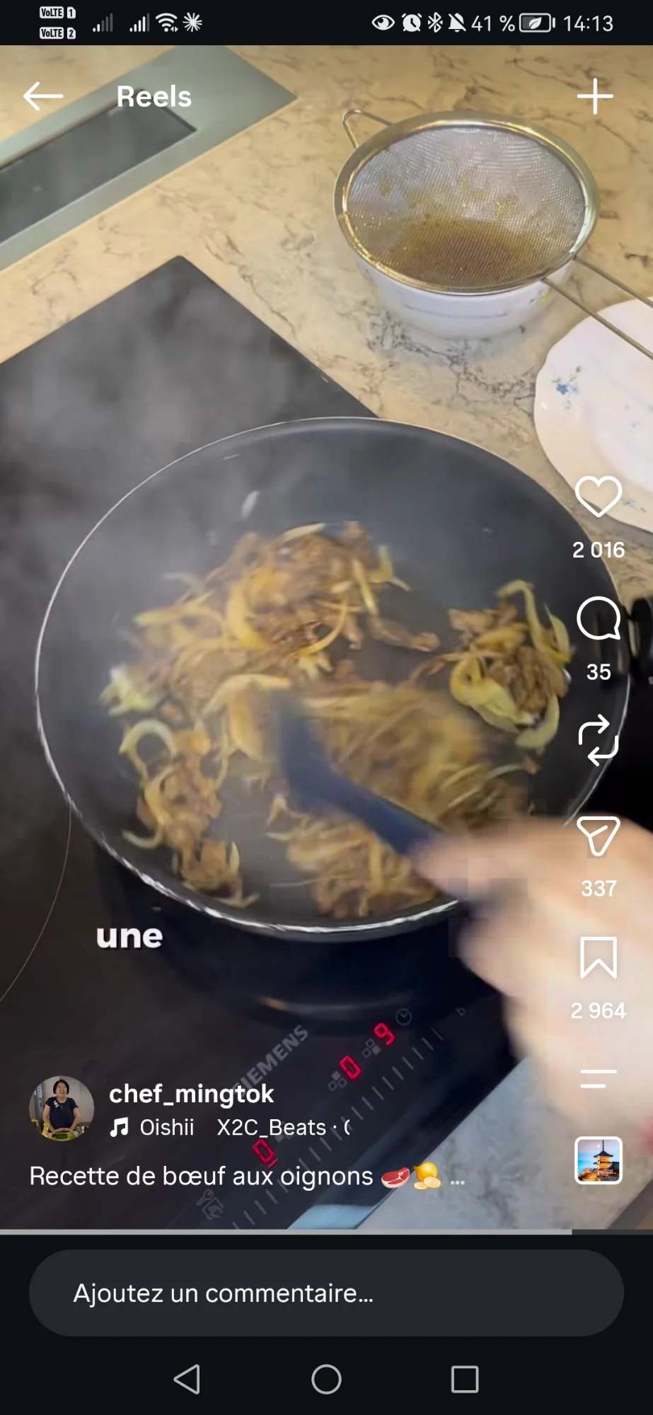 Bœuf aux oignons 2
