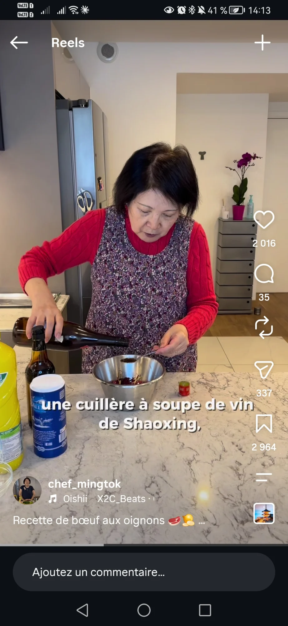 Bœuf aux oignons 2