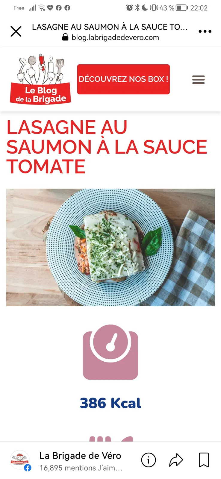 Lasagne saumon light