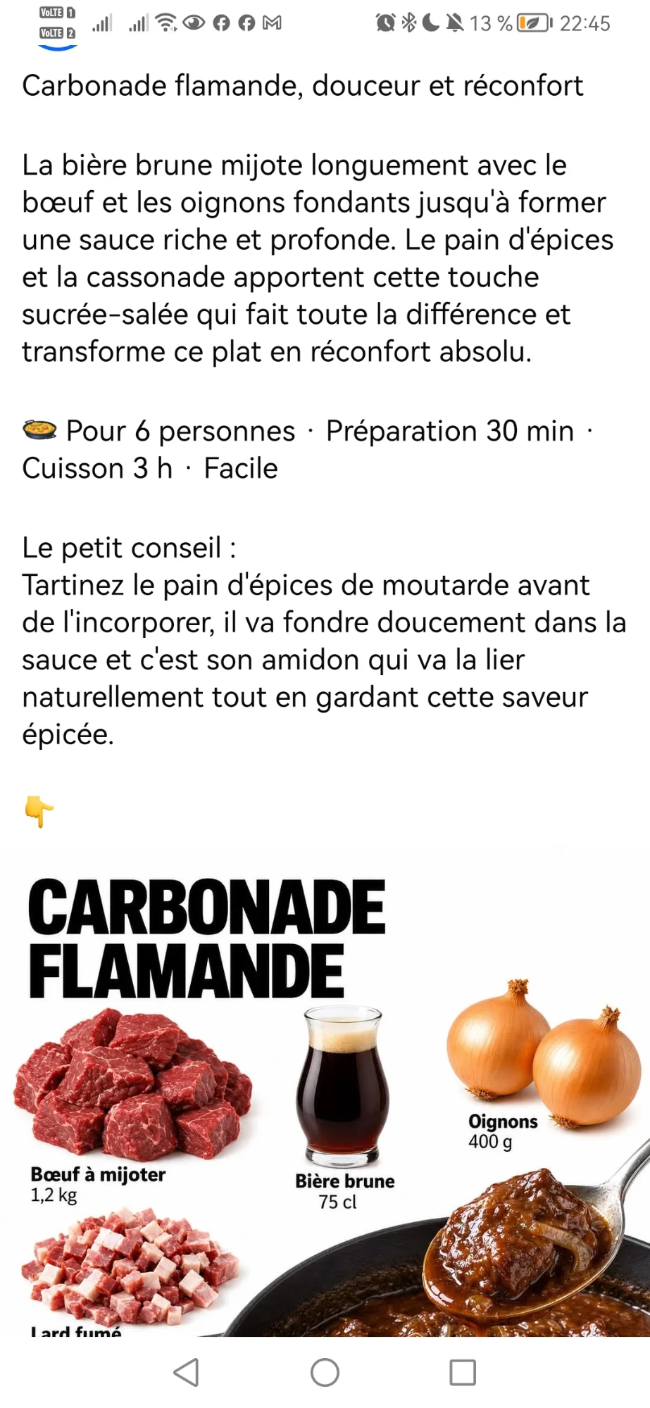 Carbonade flamande