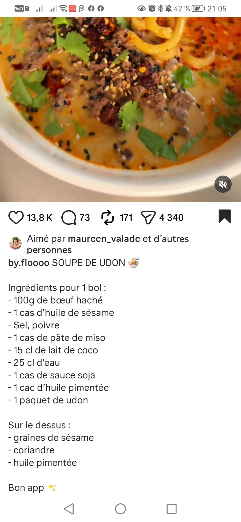 Soupe de udon